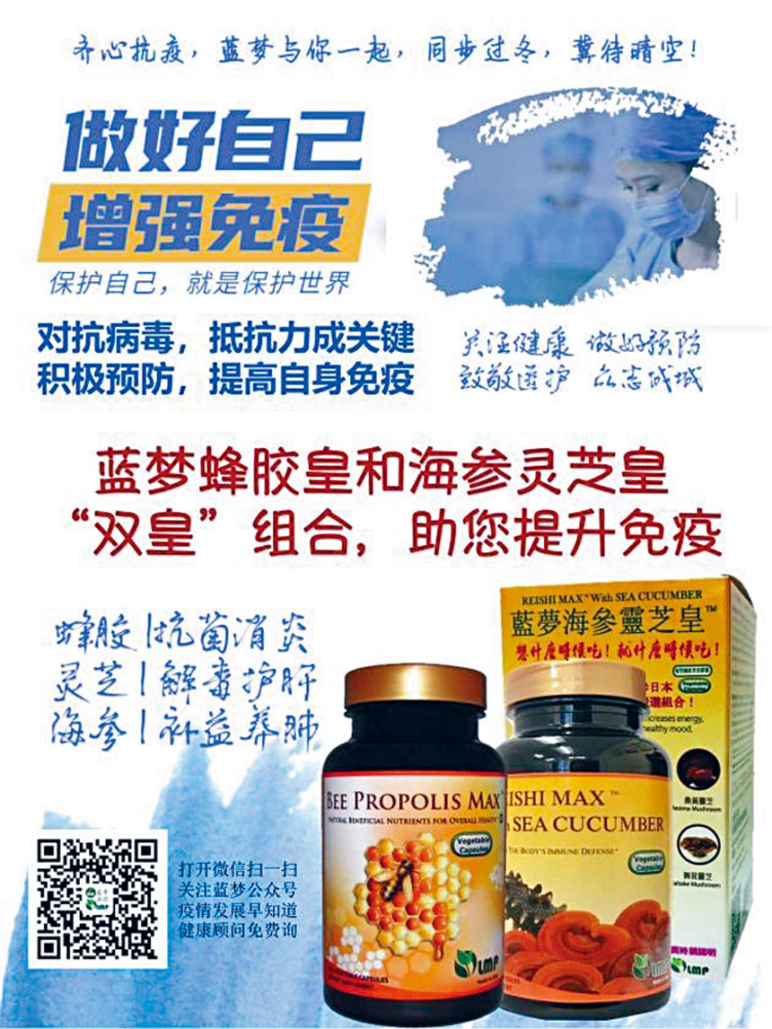 蜂膠皇 海參靈芝皇