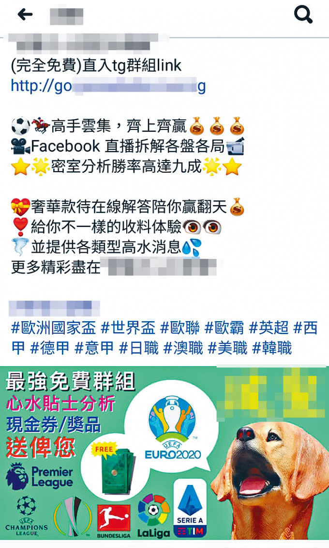 近期網上社交平台出現多個廣告帖文,稱可免費提供歐國盃貼士,以招徠賭客下注。