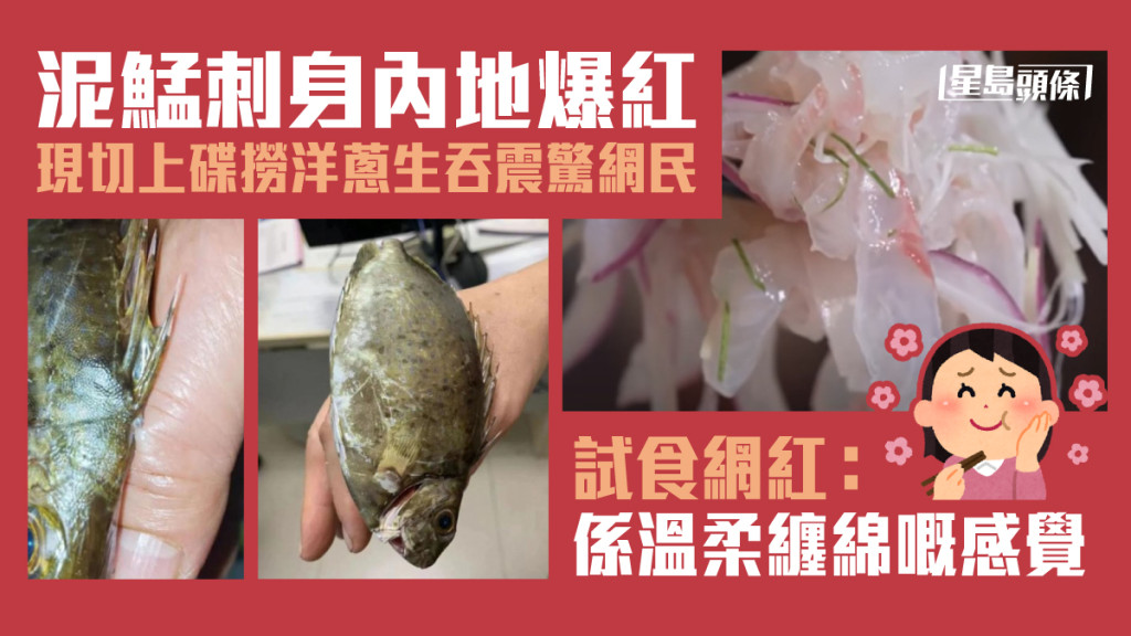 泥鯭刺身內地爆紅現切上碟生吞震驚網民 試食網紅:係溫柔纏綿嘅感覺 | 星島日報